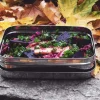 ECOlunchbox Solo Rectangle Best