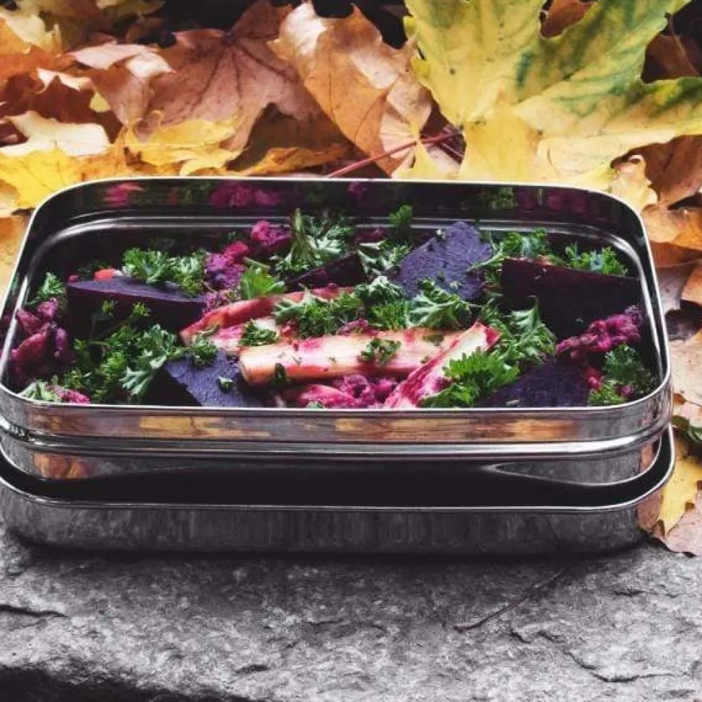 ECOlunchbox Solo Rectangle Best