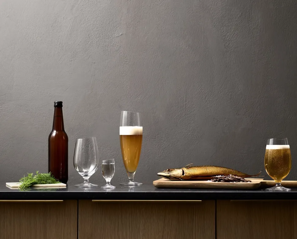 Eva Solo Bierglas Groot 500 ml (Set van 6)