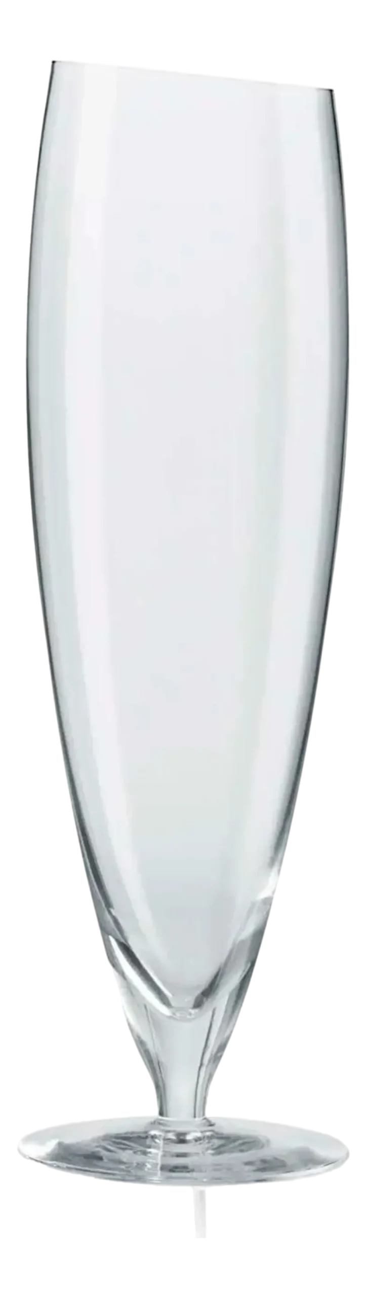 Eva Solo Bierglas Groot 500 ml (Set van 6)
