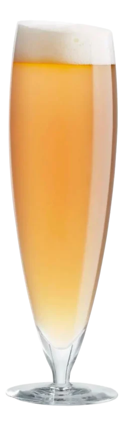 Eva Solo Bierglas Groot 500 ml (Set van 6)