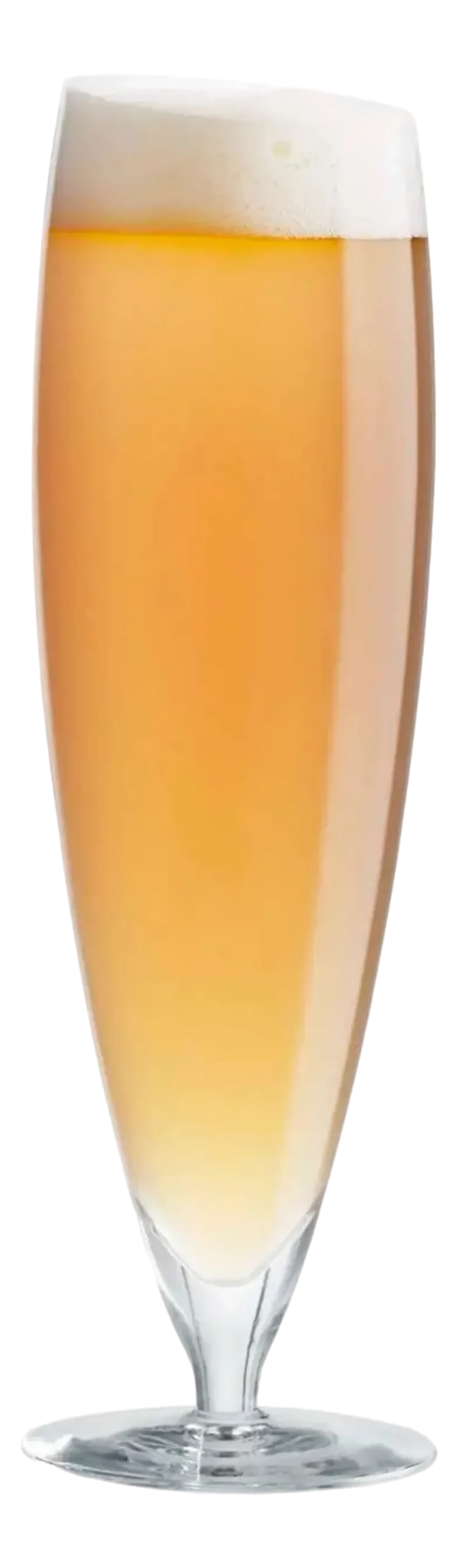 Eva Solo Bierglas Groot 500 ml (Set van 6)