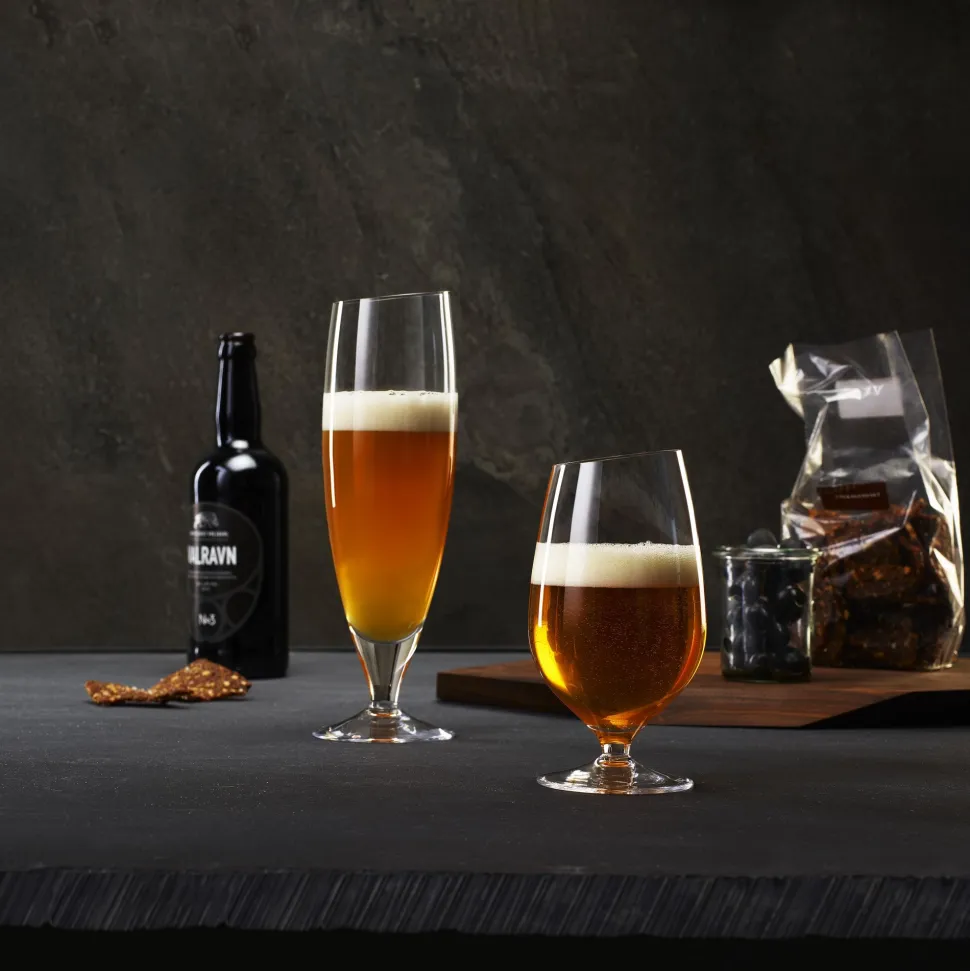 Eva Solo Bierglas Groot 500 ml (Set van 6)