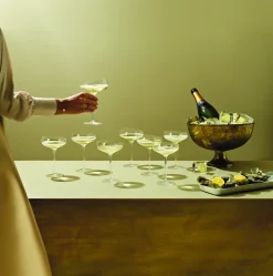 Eva Solo Champagne Coupe Transparent Discount
