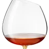 Eva Solo Cognacglas 210 ml New