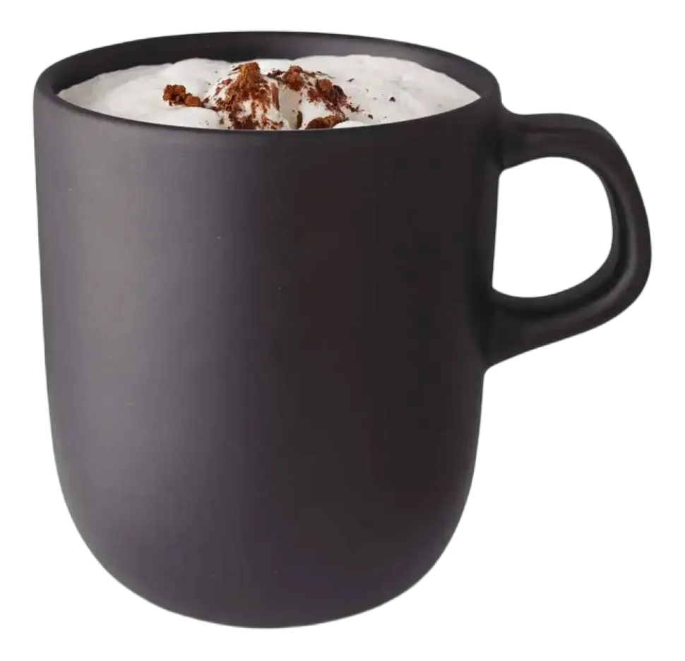 Eva Solo Nordic Kitchen Cup Black 40 cl