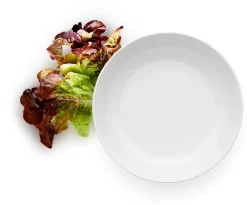 Eva Solo Eva Trio Legio Nova Bowl 3,3L White