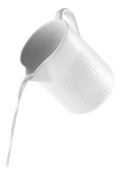 Eva Trio Legio Nova Karaf met Handvat 1L