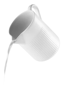 Eva Trio Legio Nova Karaf met Handvat 1L