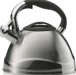 Fluitketel Kela Varus Zilver 3L
