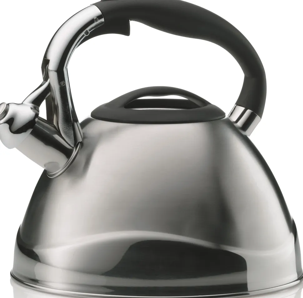 Fluitketel Kela Varus Zilver 3L