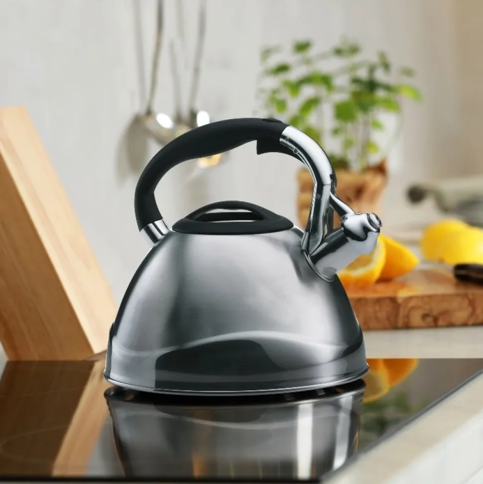 Fluitketel Kela Varus Zilver 3L
