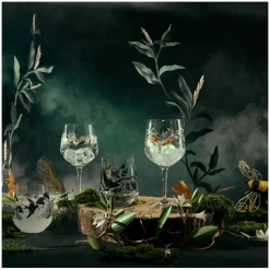 Gin & Tonicglas Ritzenhoff Botanic Glamour #3 #4 720 ml (Set van 2)