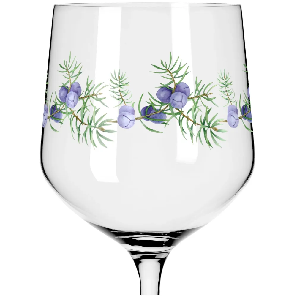 Ritzenhoff Gin & Tonicglas Botanic Lights #5 #6 720 ml (Set van 2)