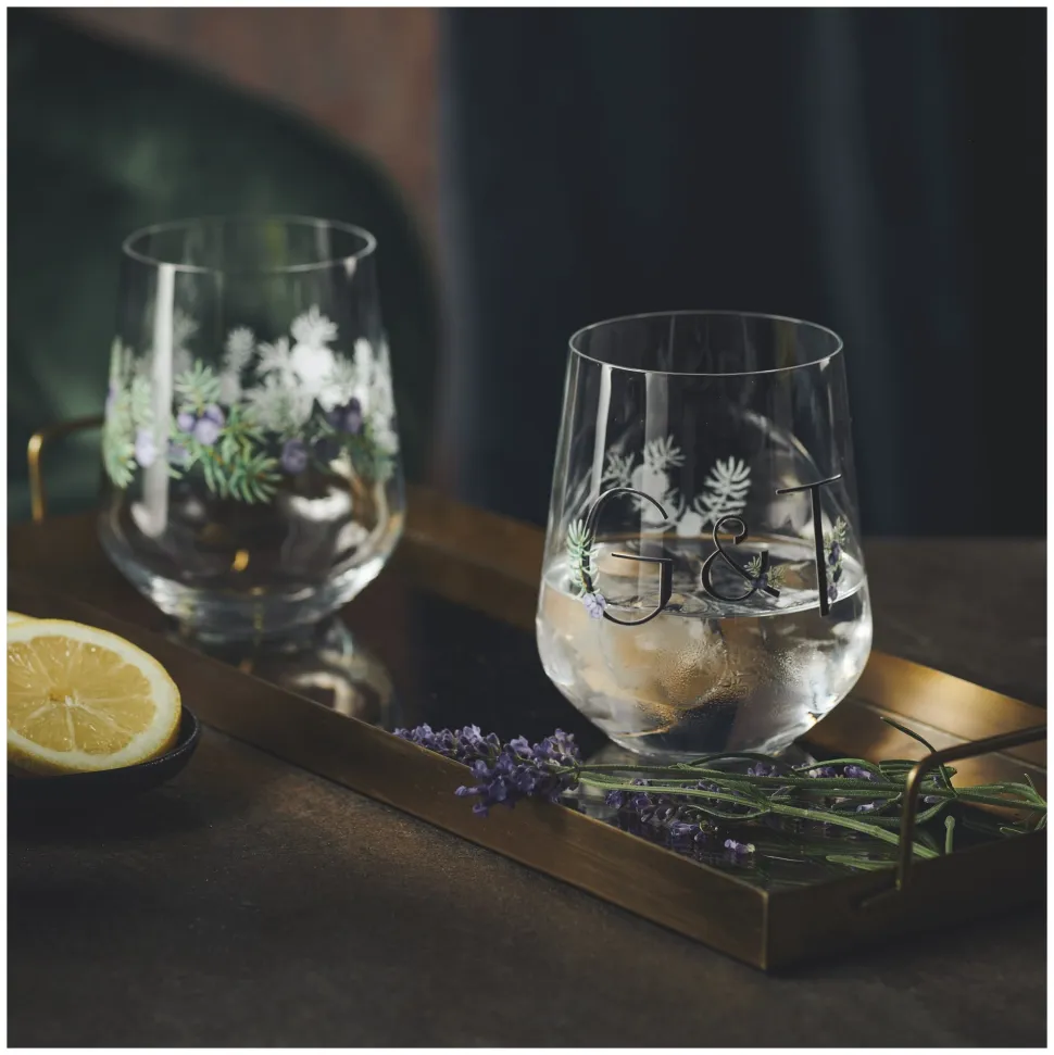 Gin & Tonicglas Ritzenhoff Botanic Lights #5 #6 710 ml (Set van 2)