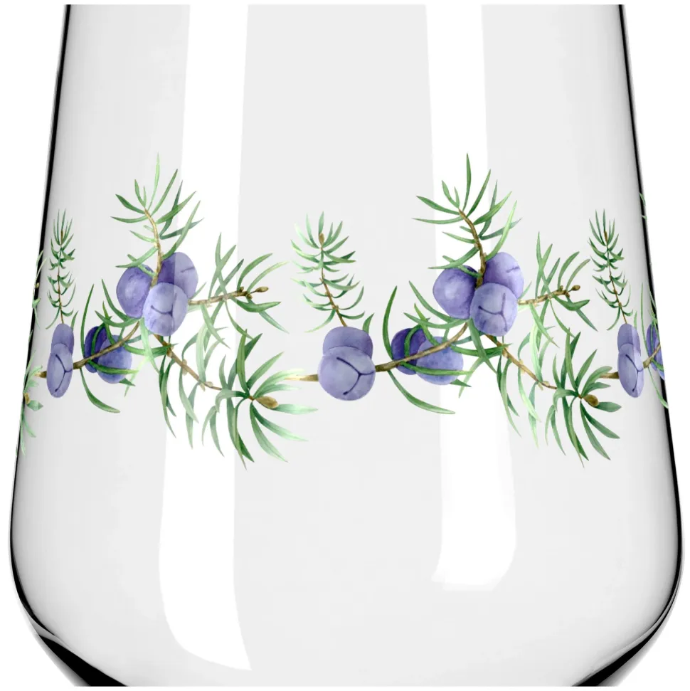 Gin & Tonicglas Ritzenhoff Botanic Lights #5 #6 710 ml (Set van 2)