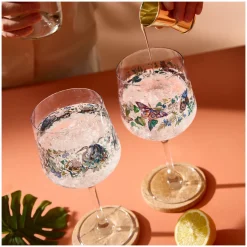 Gin & Tonicglas Ritzenhoff Schattenfauna #7 #8 720 ml (Set van 2)