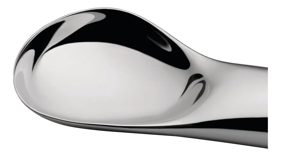 IJsschep Alessi Koki
