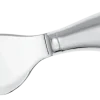 Sambonet Kaasmes Living Parmesan Online