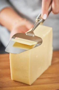 Kaasschaaf Rösle Keuken 24 cm