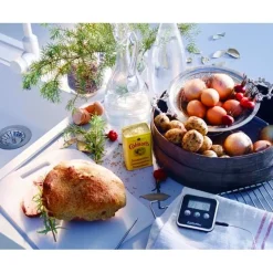 Orthex Kernthermometer Digitaal Clearance