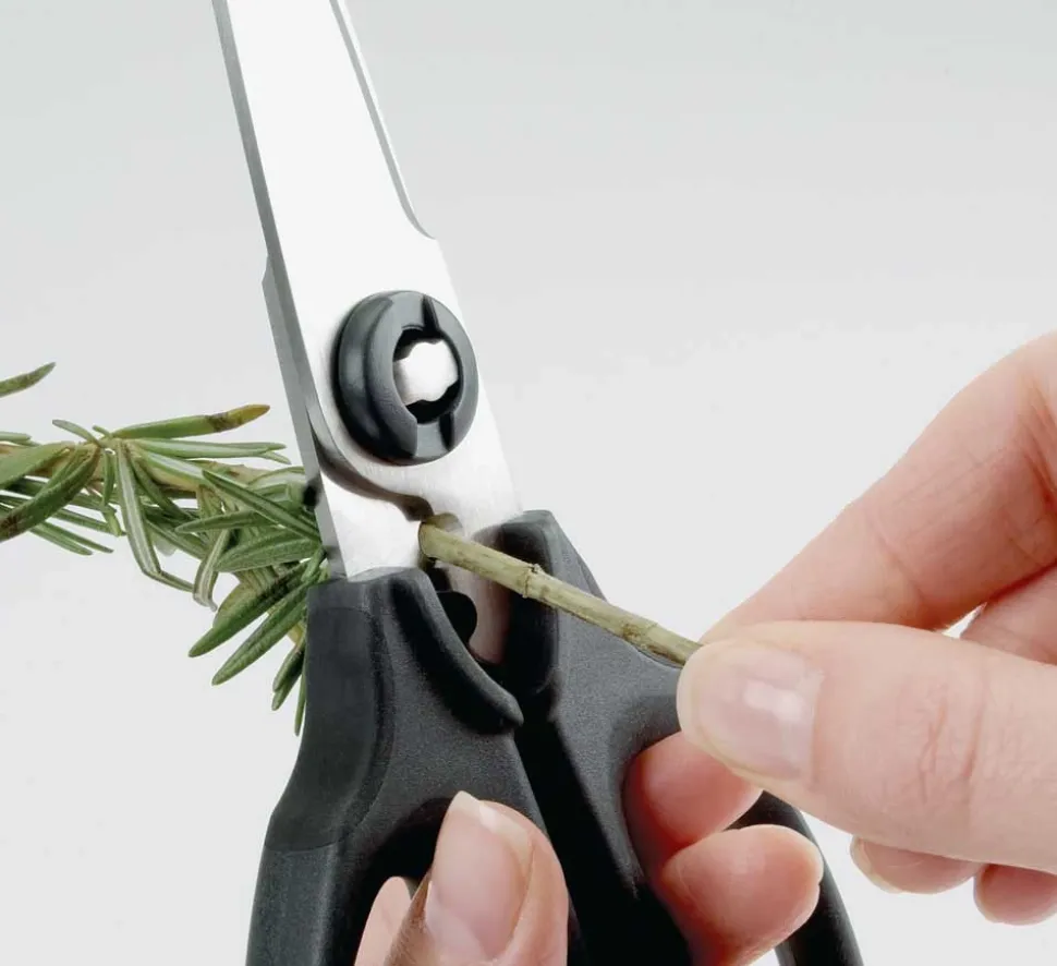 Keuken- en kruidenschaar OXO Good Grip
