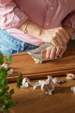 Eva Solo Knoflookpers Zilver Online