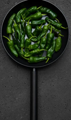 Combekk Koekenpan Recycled Aluminium 20 cm New