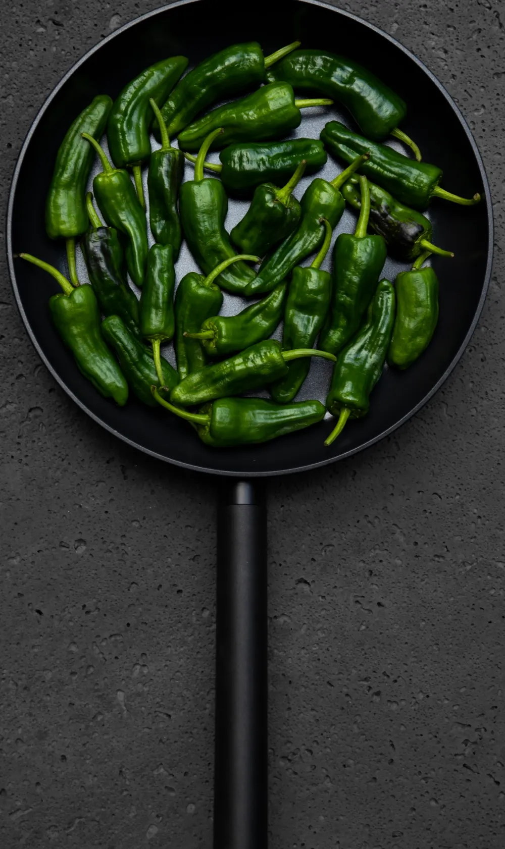 Combekk Koekenpan Recycled Aluminium 20 cm New