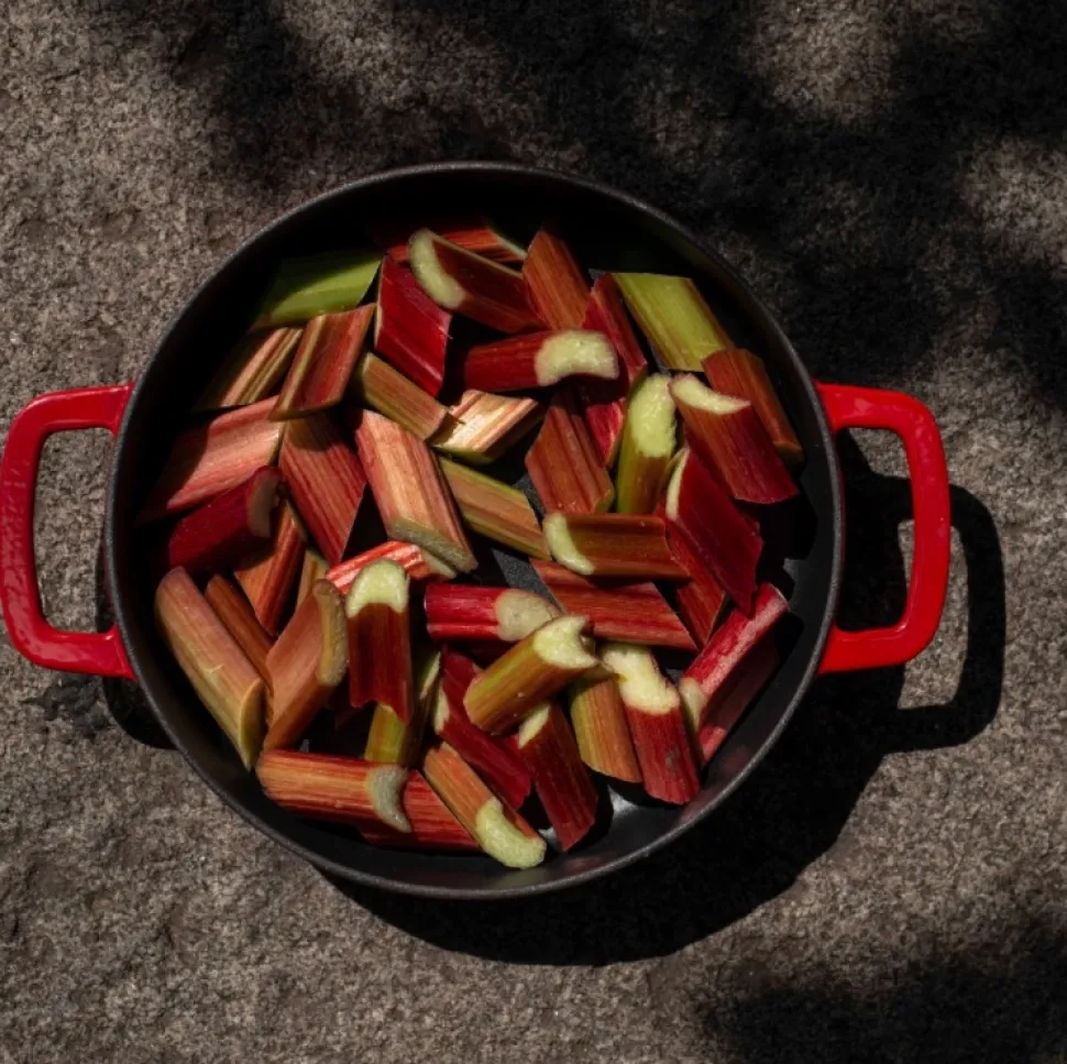 Koekenpan Combekk Skillet Red 28 cm