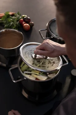 Kookpan Fissler Viseo Pro Met Glazen Deksel 16 cm