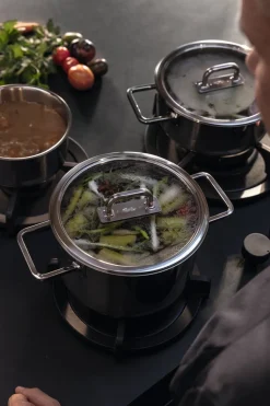 Kookpan Fissler Viseo Pro Met Glazen Deksel 16 cm
