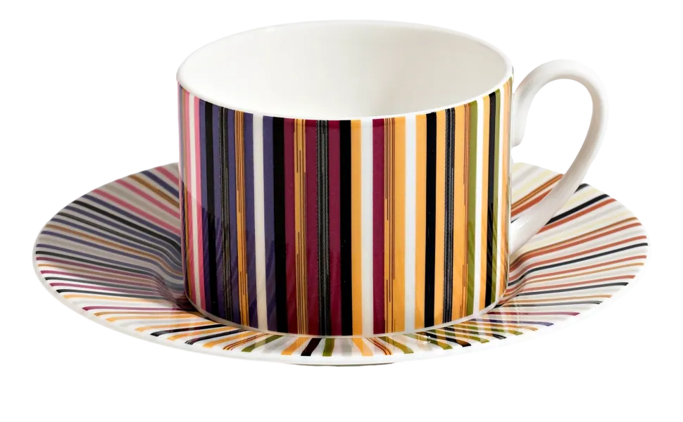 Missoni Kop & Schotel Luxury Gift Box Stripes Jenkins 156 120 ml (Set van 2) Clearance