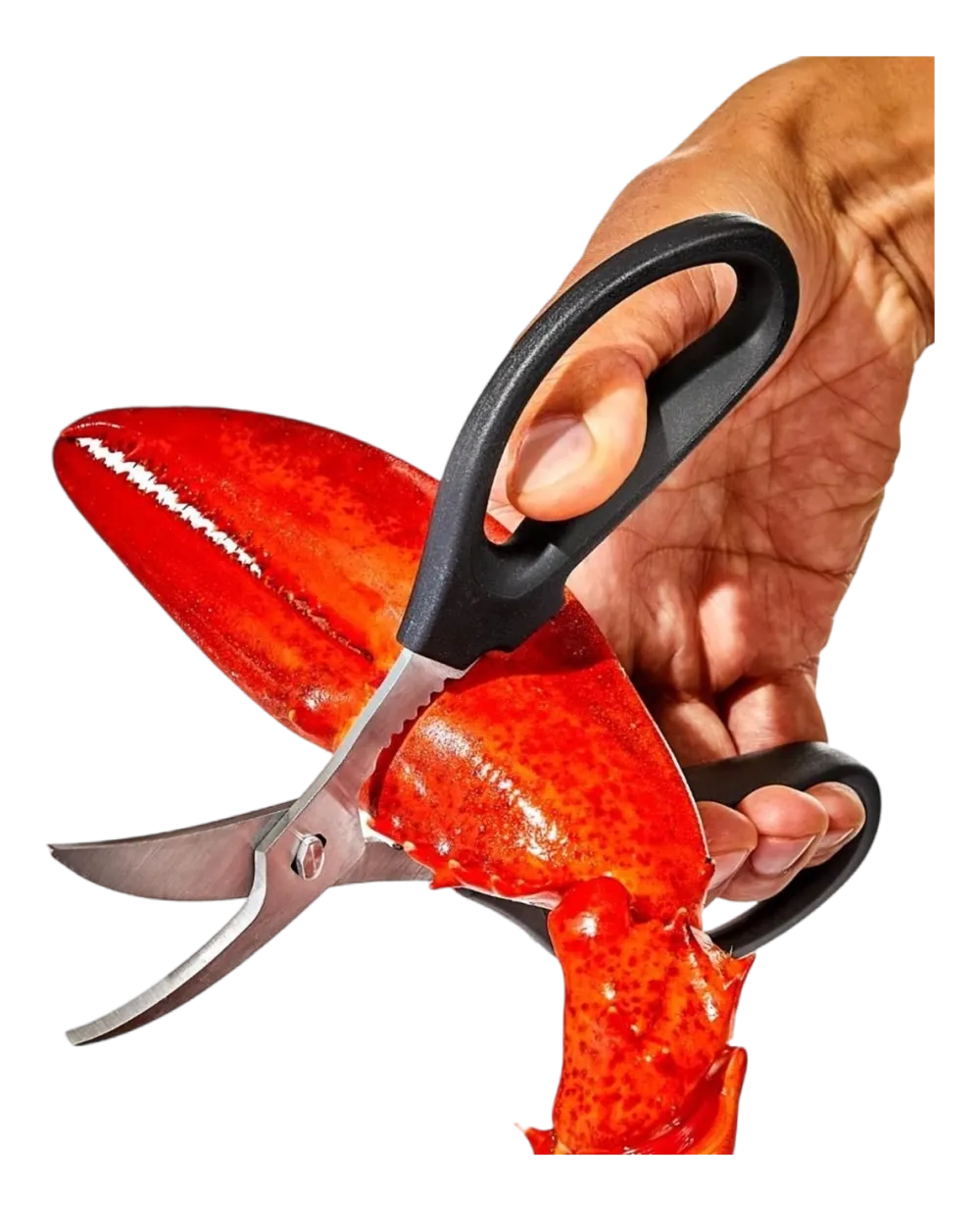 OXO Kreeftenschaar Good Grips 19 cm Discount