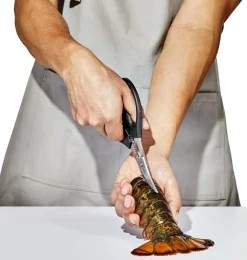 OXO Kreeftenschaar Good Grips 19 cm Discount