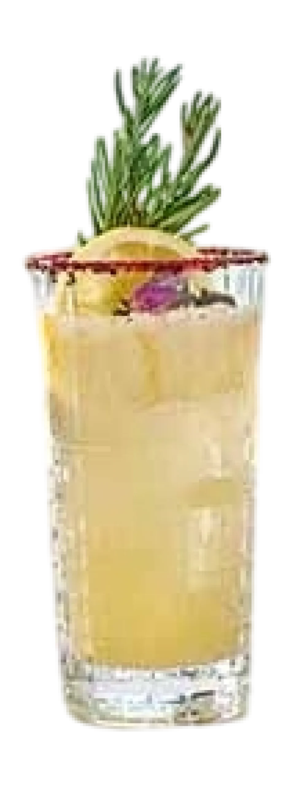 Bormioli Rocco Longdrinkglas Bartender Este 290 ml (Set van 6) Online