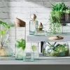Longdrinkglas L.S.A. Canopy 350 ml (4-Delig)