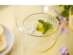 Lyngby Longdrinkglas Palermo Clear 500 ml (Set van 4) Best