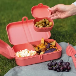 Koziol Lunchbox Bio-Circulair Pascal Ready Nature Coral (6-Delig)