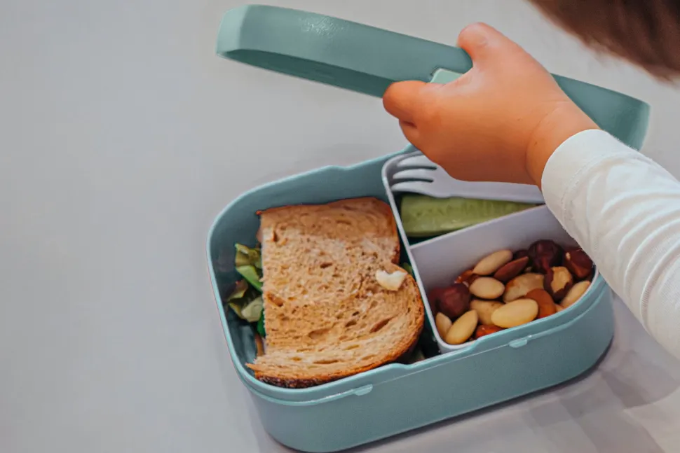 Lunchbox voor Kinderen Mepal Campus Bento Wild Horse 750 ml