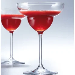 Margaritaglas Schott Zwiesel Bar Special (6-delig)