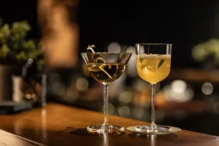 Martiniglas Zwiesel Glas Tone 182 ml (Set van 4)