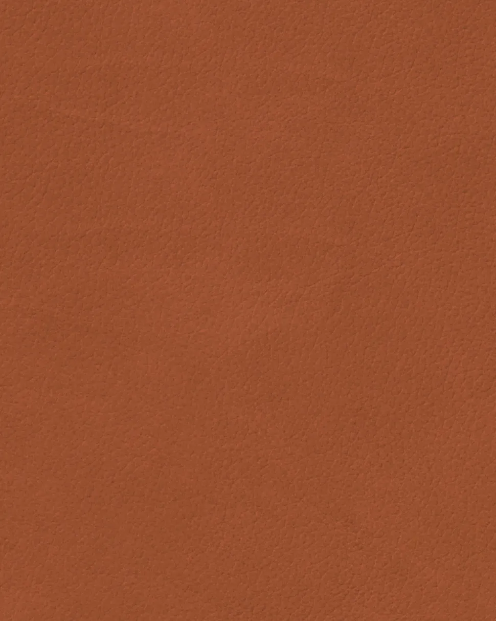 Onderzetter Lind DNA Glass Mat Circle Nupo Rust (Set van 4)