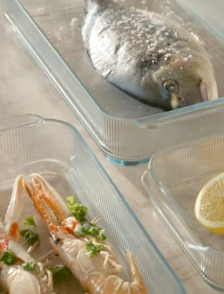 Stelton Ovenschaal Pilastro Clear Online