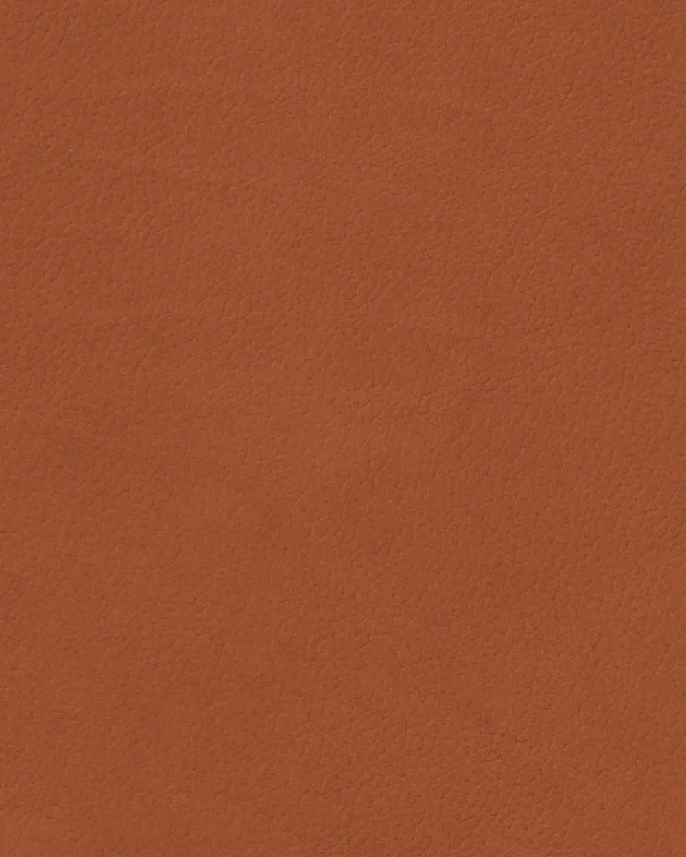 Lind DNA Placemat Square L Nupo Rust (Set van 4) Outlet