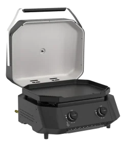 Cozze Plancha G-500 2 Branders