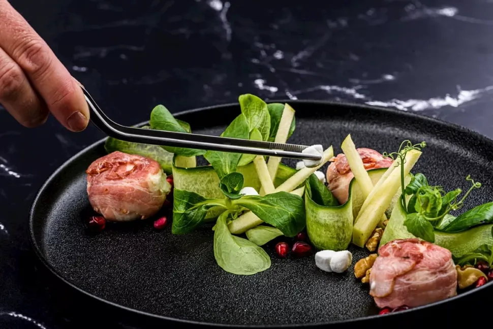Precisie-pincetten Plate-It (2-delig)