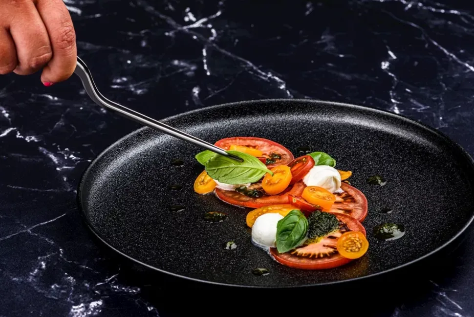 Precisie-pincetten Plate-It (2-delig)