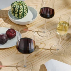Rode Wijnglas Iittala Essence Helder 450 ml (Set van 2)
