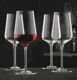 Rode Wijnglas Nachtmann ViNova 550 ml (4-delig)